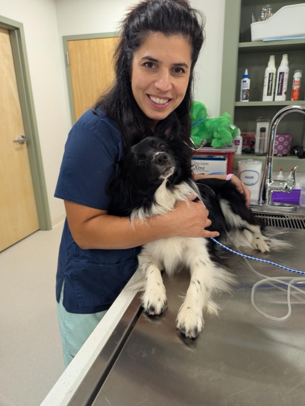 Dr. Mahmood in Treatment Area